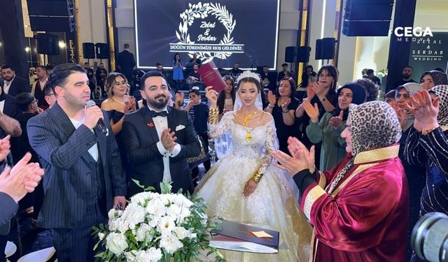 Diyarbakır'da ünlüleri buluşturan düğün