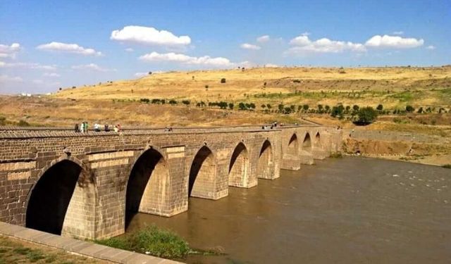 Diyarbakır'da 600 yıllık çınar köşk için kesildi