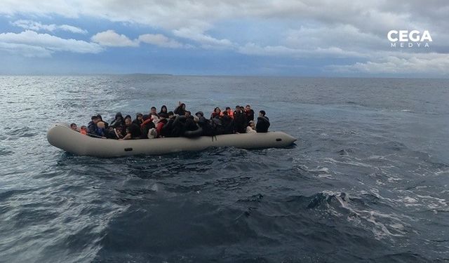 56 düzensiz göçmen yakalandı