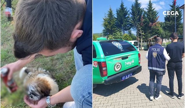 Köpeğe alkol içirip sosyal medyada paylaştı