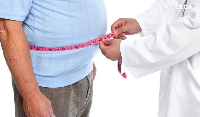 Beyin pili Parkinson'dan sonra obeziteye de umut oluyor