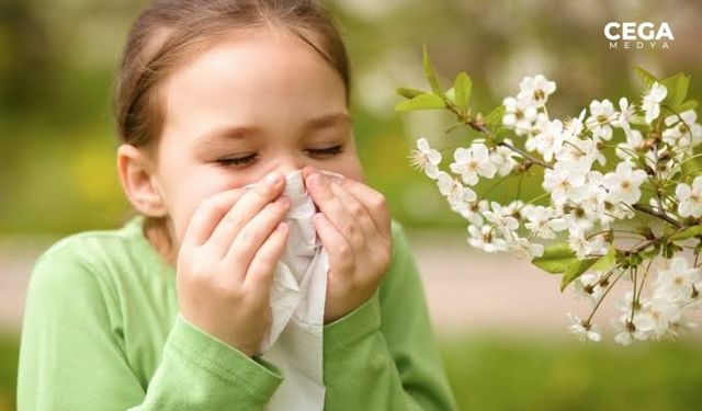 Sürekli maruz kalınan alerjenler kronik hastalıklara neden olabilir