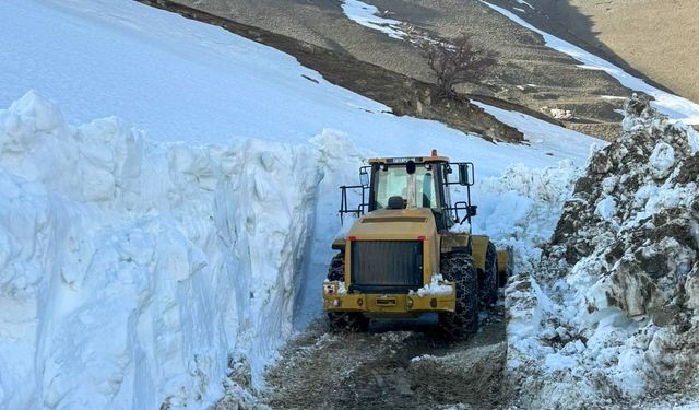 Kar nedeniyle 5 aydır kapalı olan yol ulaşıma açıldı