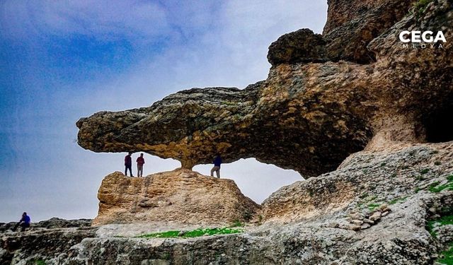 Diyarbakır'da timsah başına benzeyen kayalık