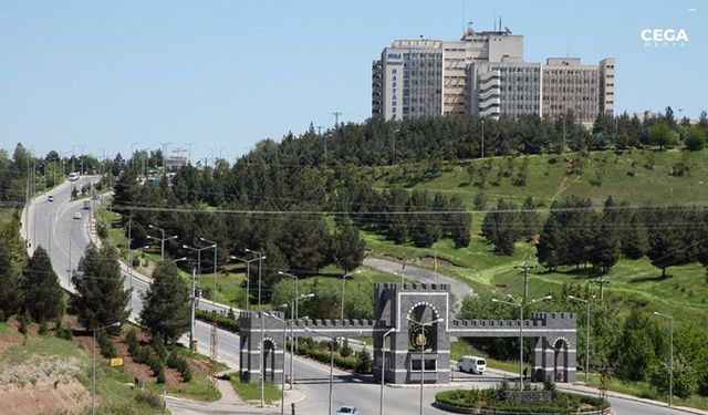 Diyarbakır üniversitesi 9 taşınmazı ihaleyle kiraya verecek