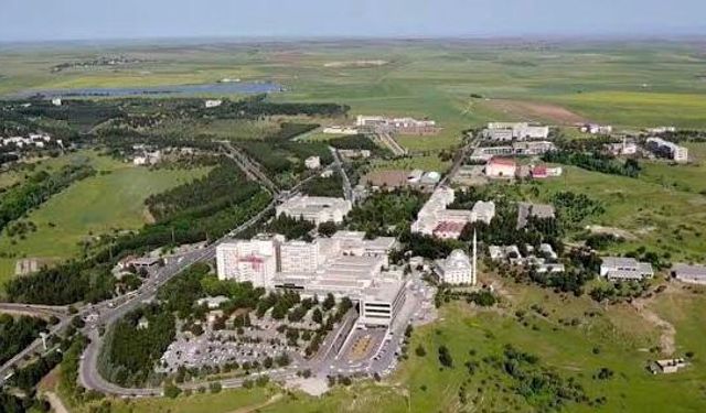 Diyarbakır Üniversitesinde korkutan toplu ölümler