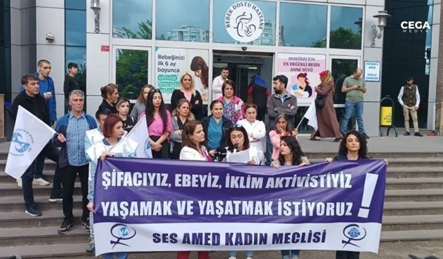 Diyarbakır’da ‘Ebeler Günü’ açıklaması: Özlük hakları iyileştirilsin