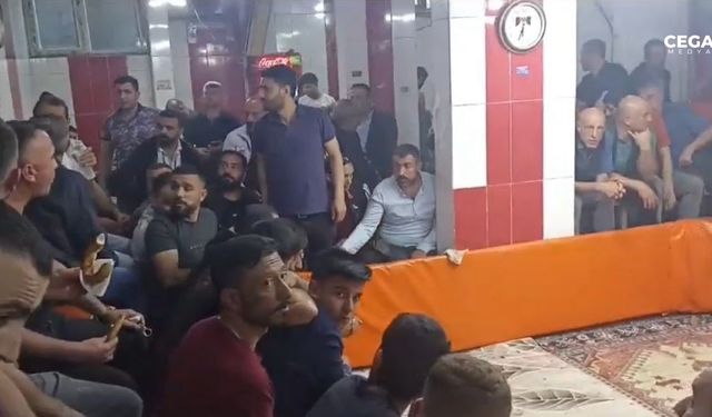 Diyarbakır'da Horoz Koruma Derneğine ‘Horoz Dövüşü’ operasyonu