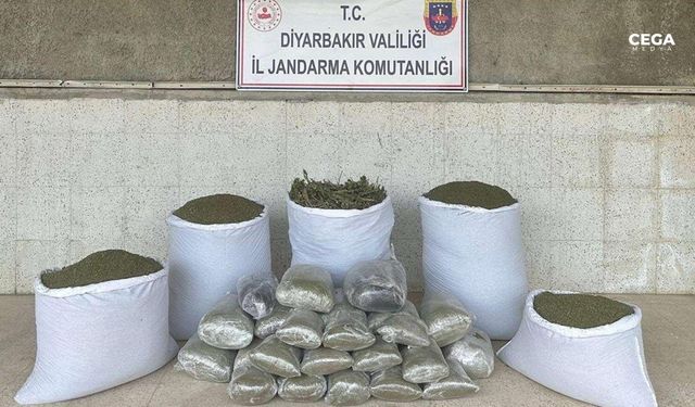 Diyarbakır'da narkotik operasyonu: 173 kilo esrar ele geçirildi