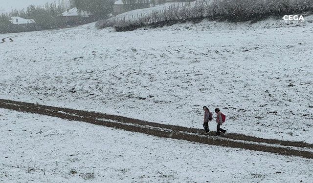 Van Başkale’ye mayıs ayında kar yağdı