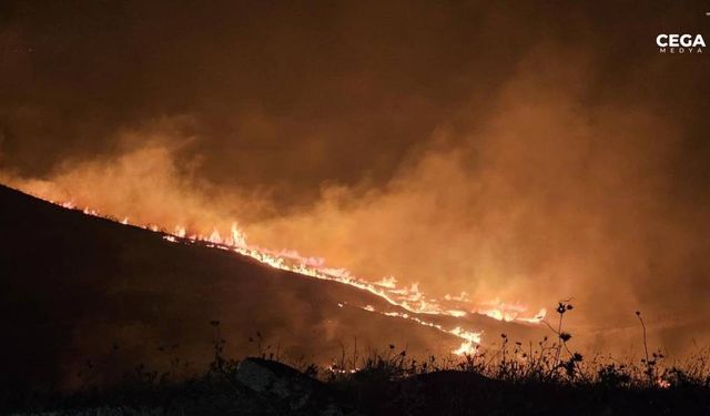 Siirt'te meşelik alanda çıkan yangın korkuttu