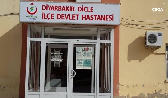Diyarbakır’da başıboş köpekler bir kadını yaraladı