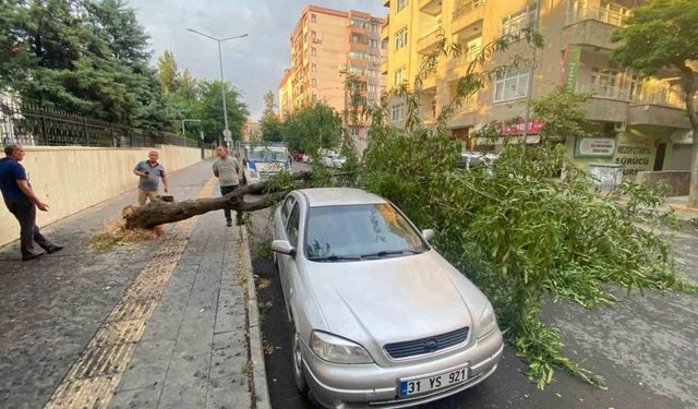 Diyarbakır’da ağaç otomobilin üstüne devrildi