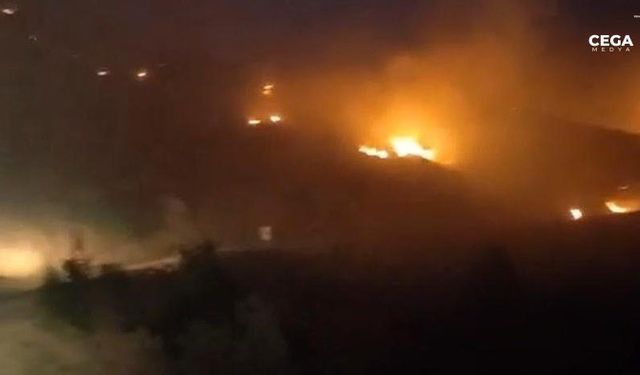 Diyarbakır Hani’deki yangın söndürüldü