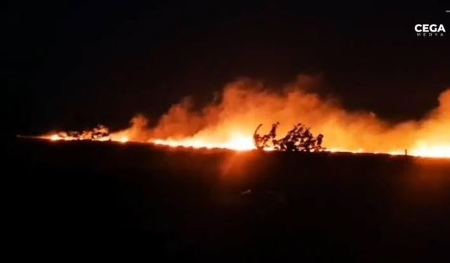 Diyarbakır’da 4 köyü tehdit eden büyük yangın