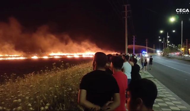 Diyarbakır’da yangına, İtfaiye ve TOMA müdahale etti