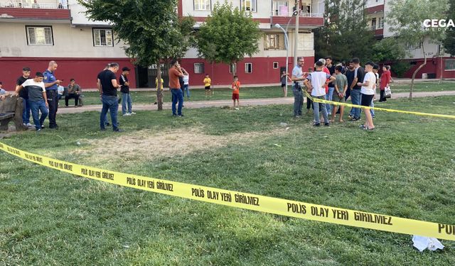 Diyarbakır'da kardeş ağabeyini vurdu