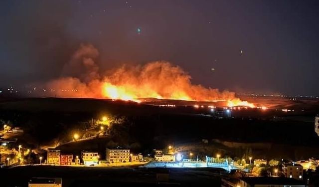Diyarbakır'da anız yangını, iki ilçeden takviye ekip gönderildi