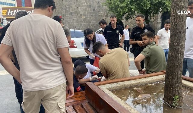 Diyarbakır’daki park kavgasında 2 yaralı