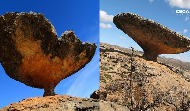 Diyarbakır'daki gizemli mantar kayalar