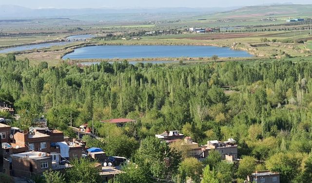 Diyarbakır'ın en güzel manzarasına sahip gecekondular kaldırılıyor