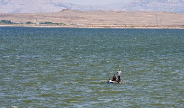 Diyarbakır'daki baraj gölünde balık ölümleri