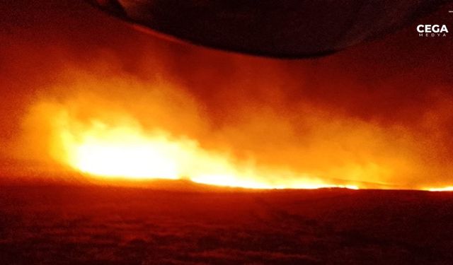 Şanlıurfa'da buğday tarlasında yangın