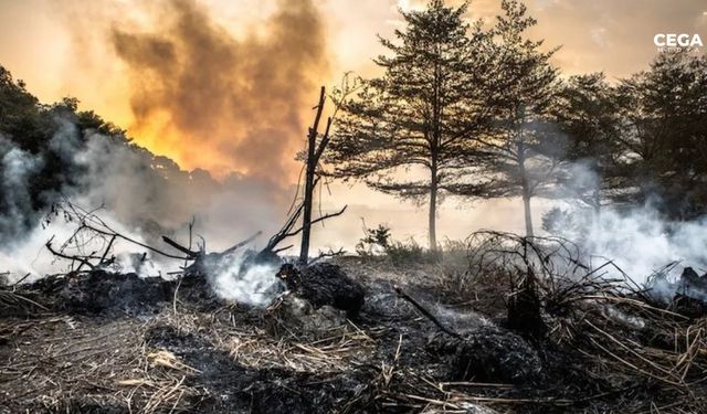 Yapay zeka kritik dönüm noktalarını tahmin edecek