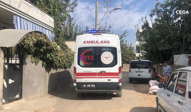 Adıyaman'da devrilen otomobildeki 4 kişi yaralandı