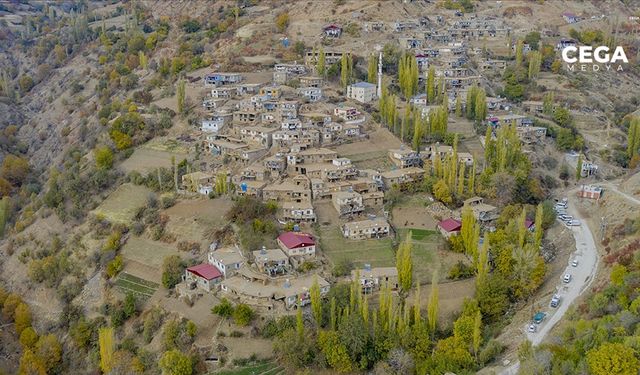 Diyarbakır'da, bezdiler öldürmek için zehir arıyorlar