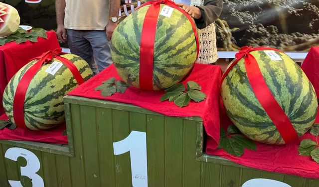 Diyarbakır'da karpuzları çalınınca ödülleri de verilmedi