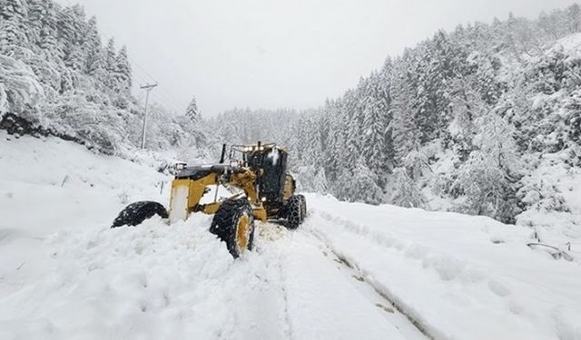 Karadeniz'de kar ve heyelan: Köy yolları kapandı