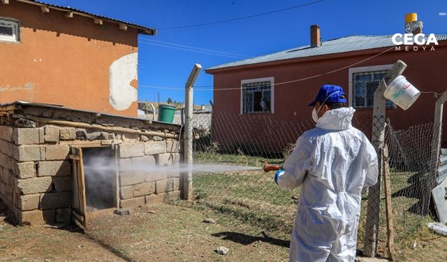 Van Büyükşehir 250 mahallede 4 bine yakın ahırı ilaçladı