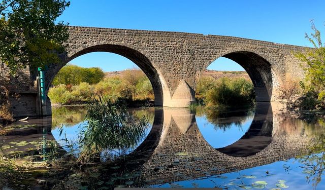 Diyarbakır’da toplu balık ölümleri yaşanabilir