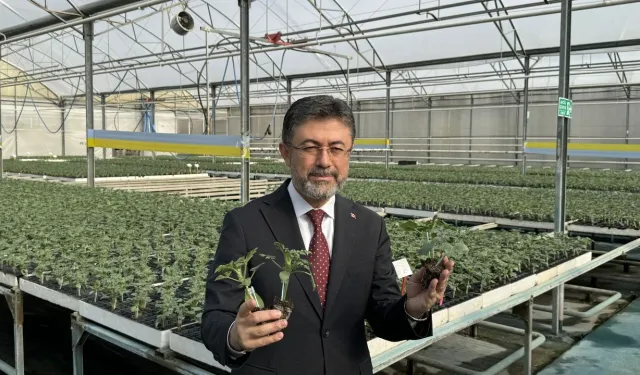 Bakan açıkladı: Orman köylülerine yüzde 50 hibe