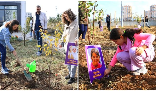 Diyarbakır’da kadınlar için 40 fidan toprakla buluşturuldu