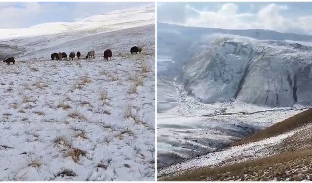 Kış kapıya dayandı, etraf beyaza büründü