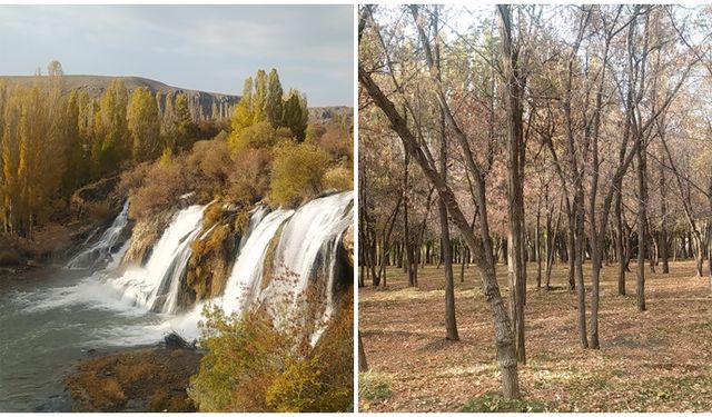 Muradiye Şelalesi'nde sonbahar manzarası