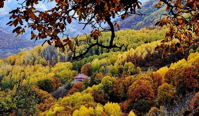 Tunceli'de sonbaharda renk cümbüşü