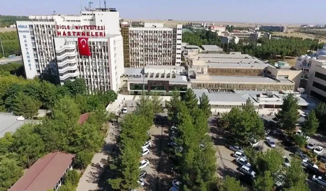 Diyarbakır projesi, Cumhurbaşkanlığı'nca kabul edildi