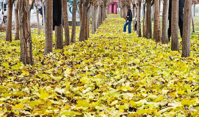 Diyarbakır ve bölgede kış mevsiminde kuraklık tehlikesi