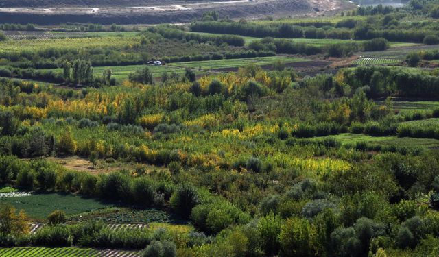 DİTAM'dan “Sivil toplumun gözünden yerel seçimlerden bugüne belediye faaliyetleri”