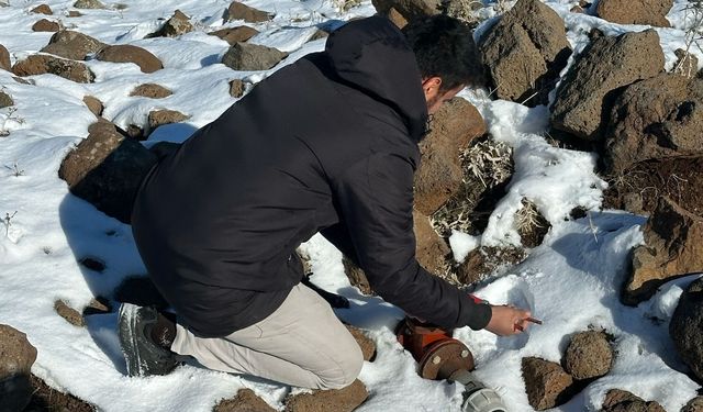 Diyarbakır'da kış buz kesti, DİSKİ donan vanaları açtı