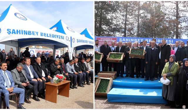 Çitçilere 7 milyon fide dağıtımı