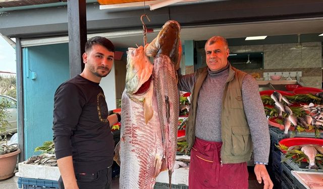 Munzur Çayı'nda 3 tane yakalandı: Her biri 100 kilo