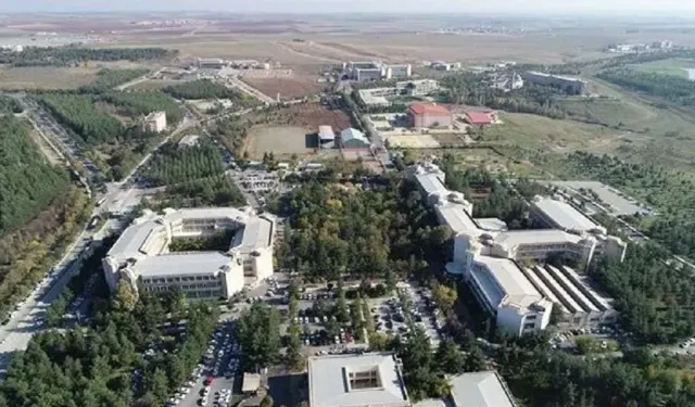 Diyarbakır'da 150 sanatçıyla konser