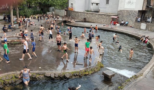 Diyarbakır Anzele'de sezon başladı