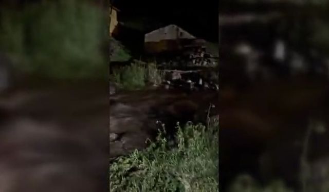 Ardahan'da sel 2 köyde hasara yol açtı
