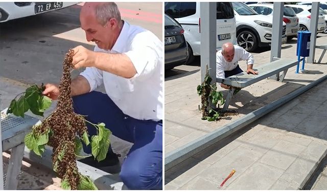 Otobüs durağında arı paniği