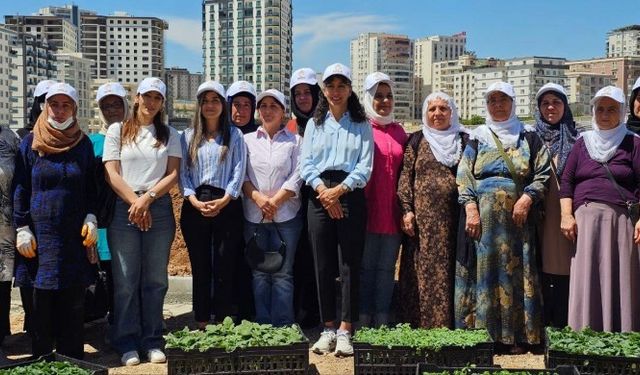 Mardin’de'Kadın Kent Bostanları’ projesi startı